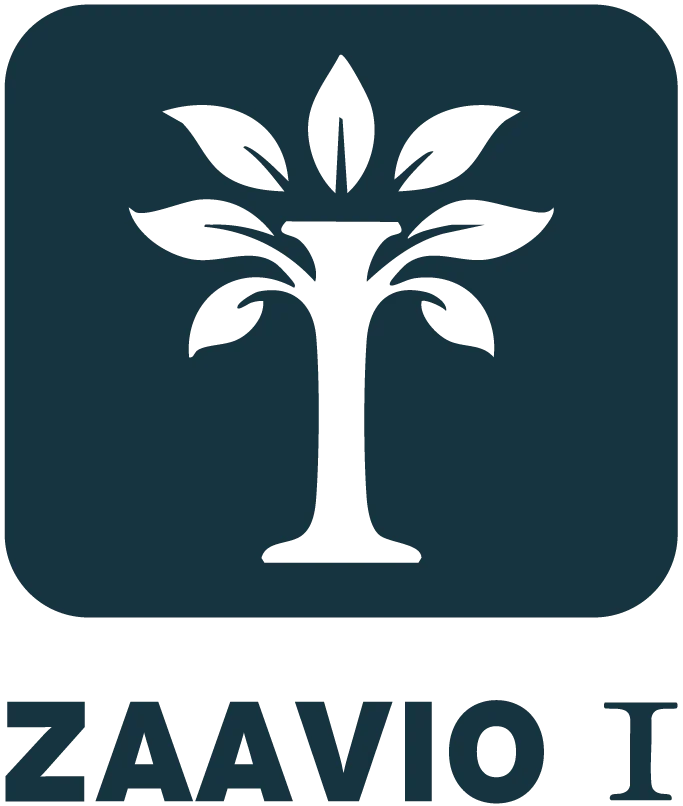 Zaavio Inmobiliaria